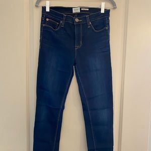 Hudson Dark Blue Skinny Jeans